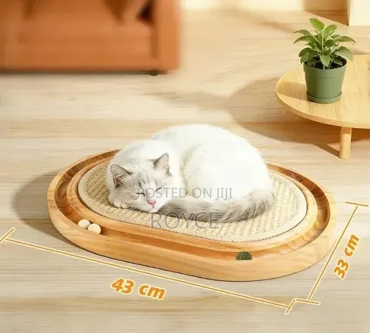 3 in 1 Cat Scratch Board
