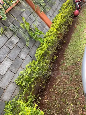 3bdrm House in Nyayo Estate for sale