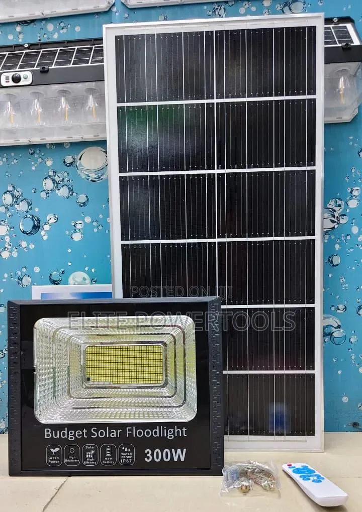 *300W Budget Solar Floodlight