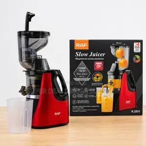 Durable Construction RAF R.2831 400Ml Slow Juicer Juice Extractor