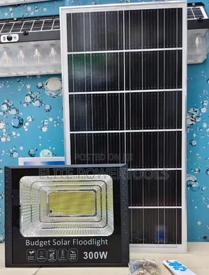 *300W Budget Solar Floodlight*=
