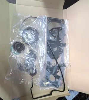 Overhaul Gasket 4D56 Engine