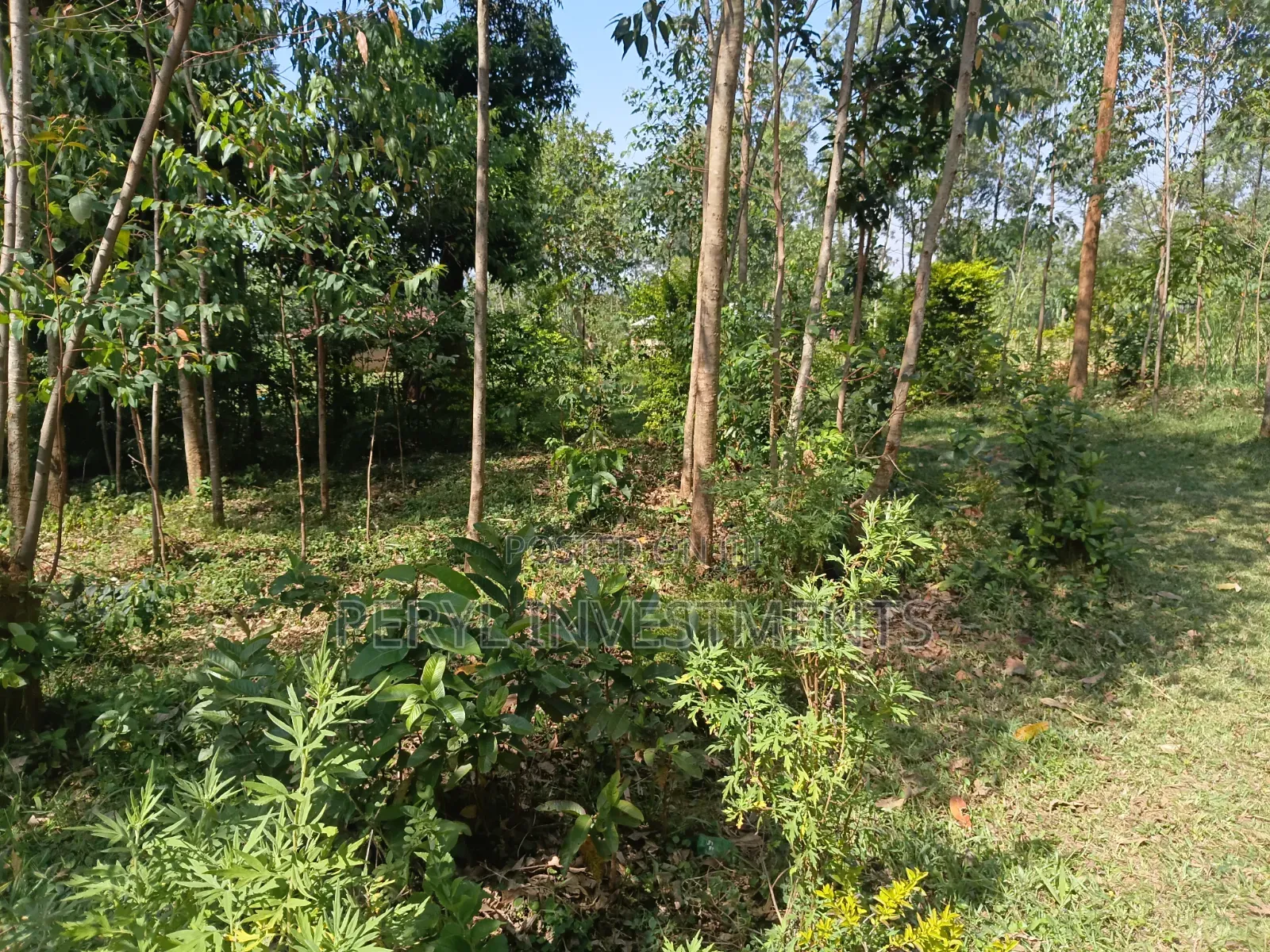 Land for Sale