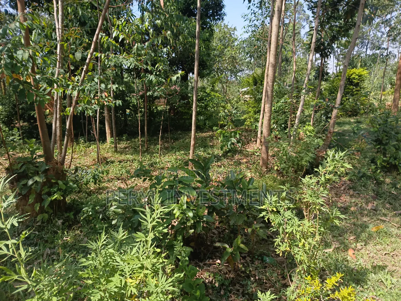 Land for Sale