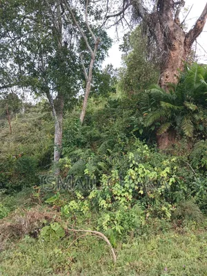 Half Acre Land on Sale at Wundanyi Town TAITA TAVETA COUNTY