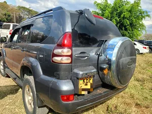 Toyota Land Cruiser Prado 2005 Gray