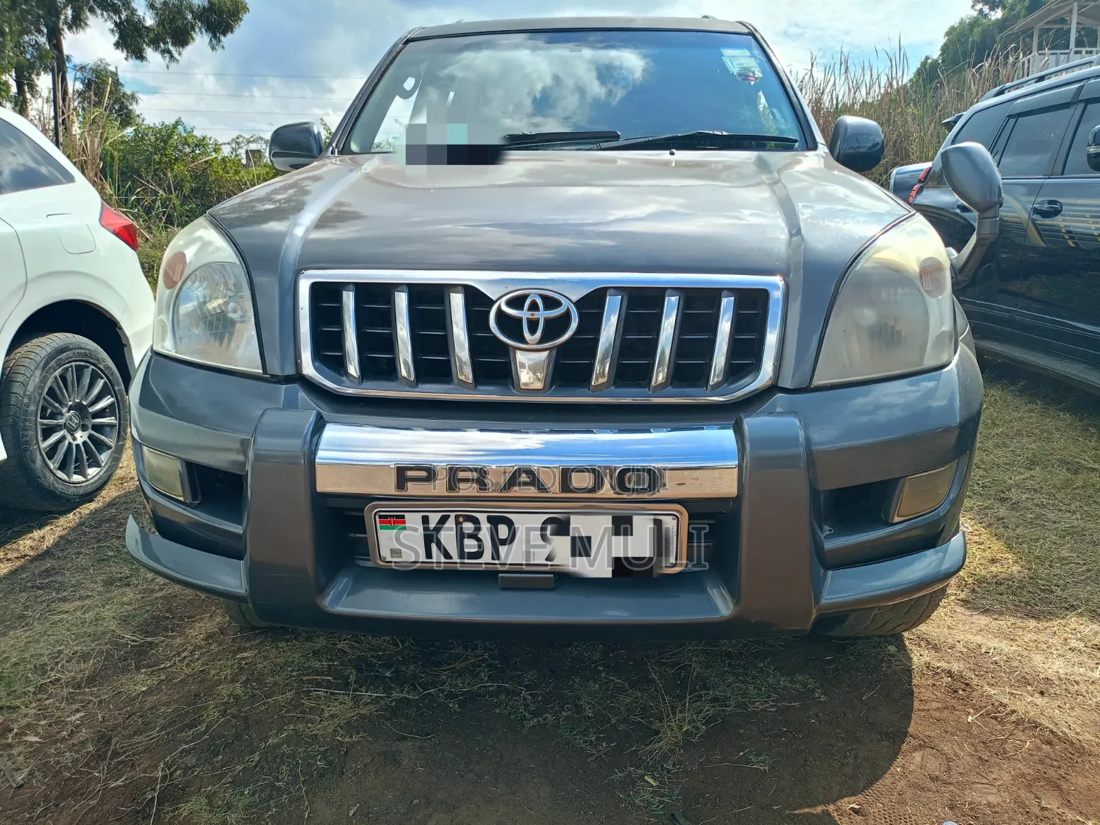 Toyota Land Cruiser Prado 2005 Gray