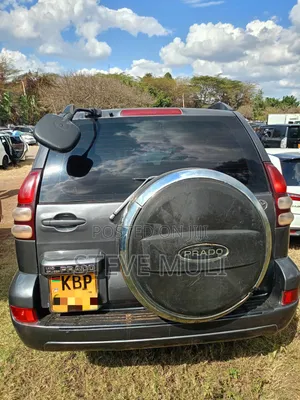 Toyota Land Cruiser Prado 2005 Gray