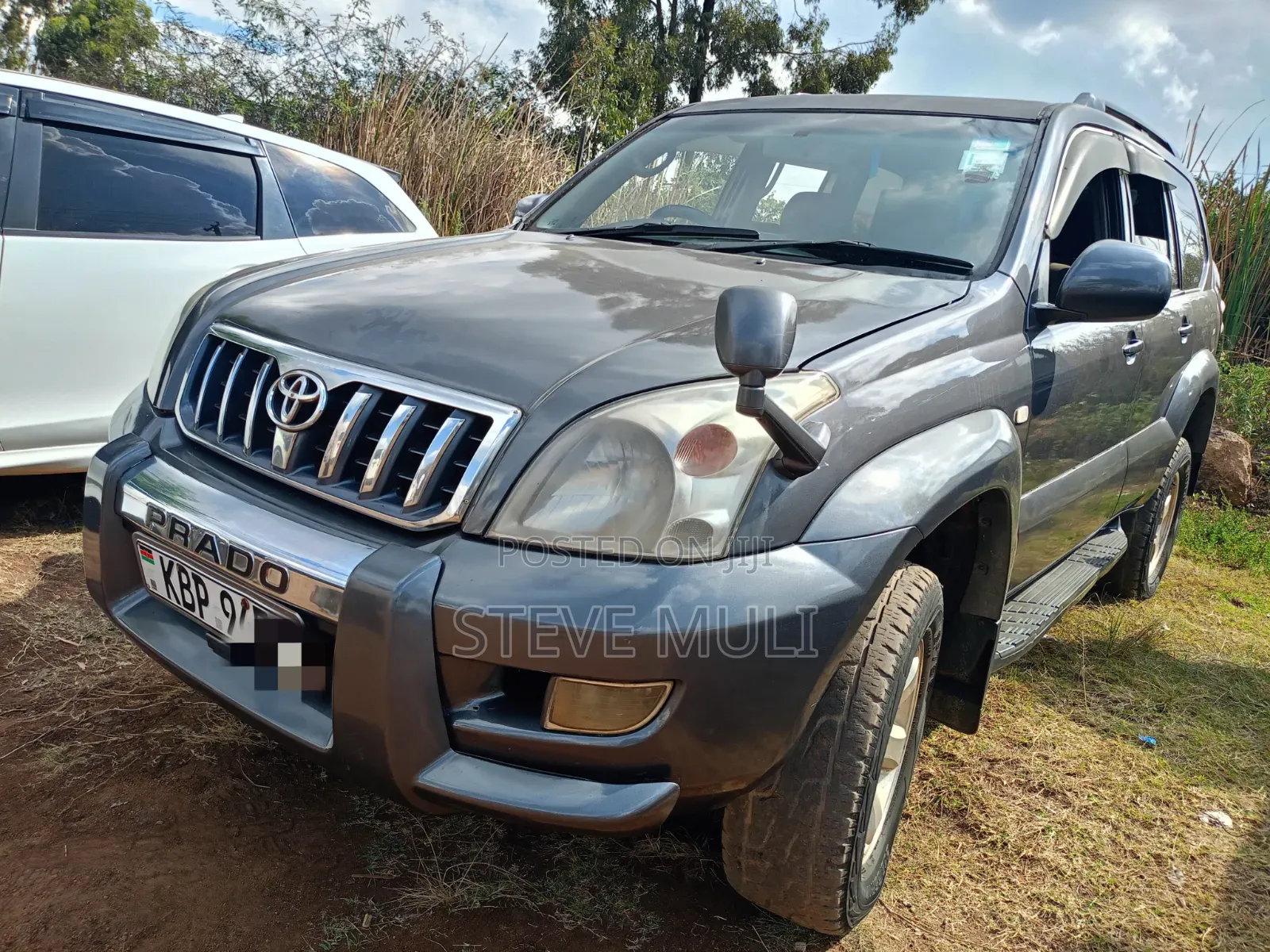 Toyota Land Cruiser Prado 2005 Gray