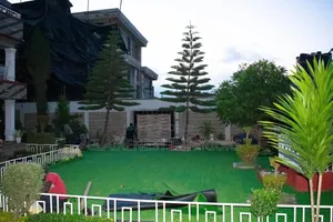 Soft, Beauty, Green Vibes 35mm Artificial Grass Carpet