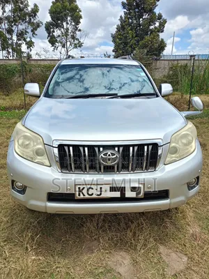 Toyota Land Cruiser Prado 2009 Silver
