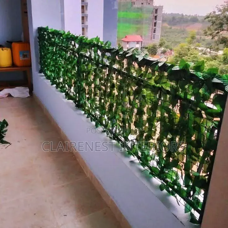 Perfect Greenery for Your Décor, Balcony Ivy Privacy Fence
