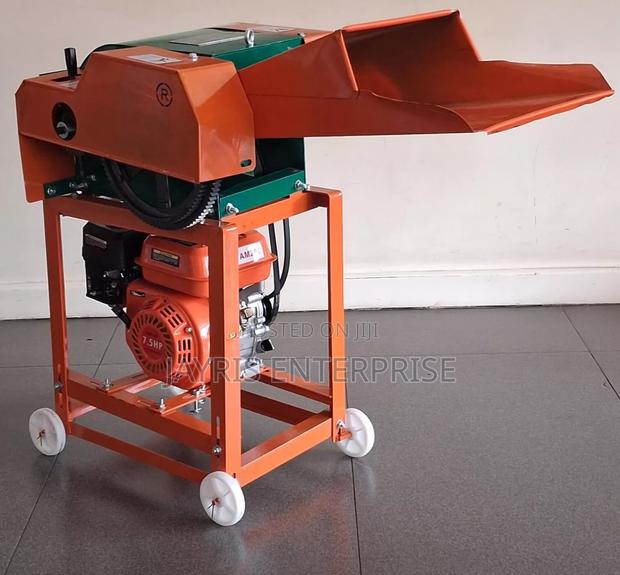 ACC300 High-Speed Chaff Cutter and Fodder Chopper 3HP Motor
