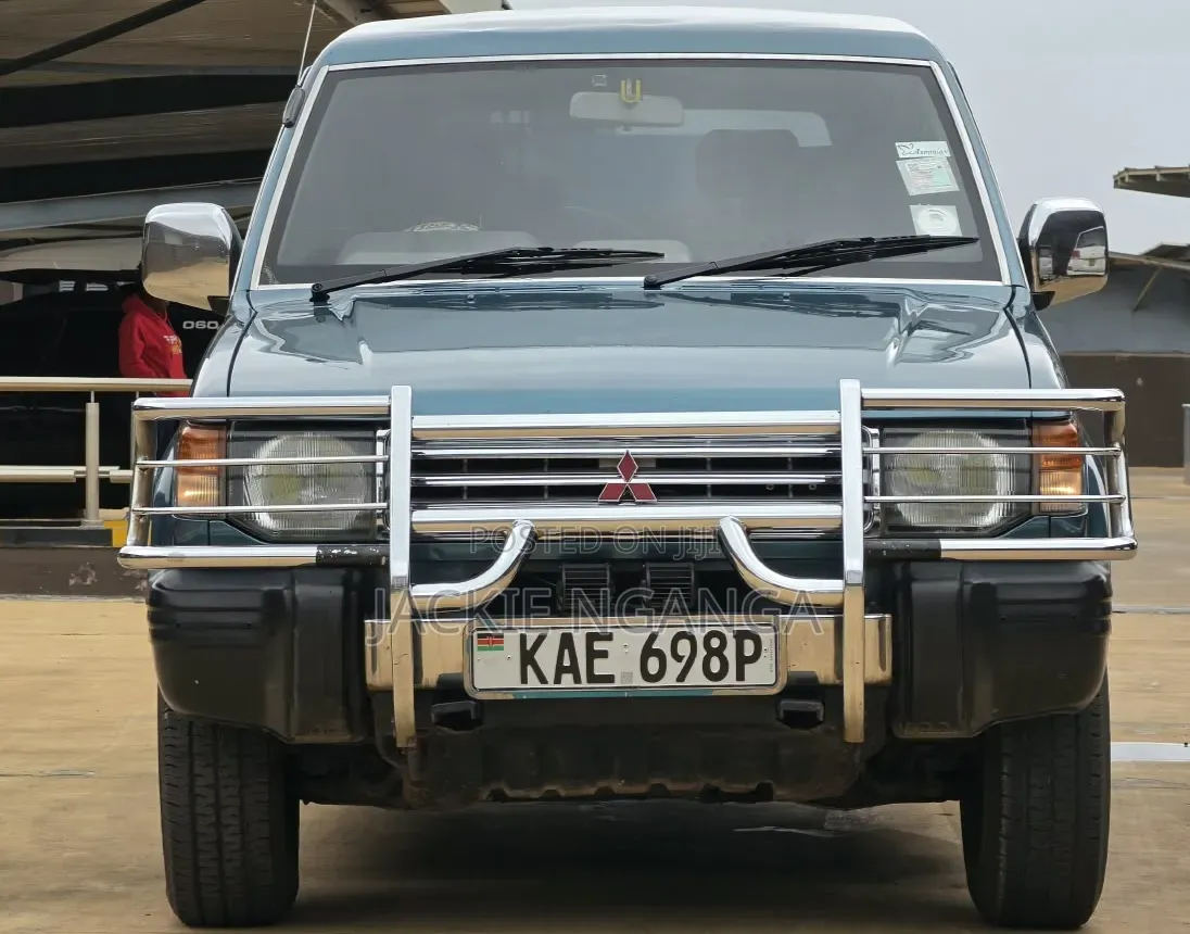 Mitsubishi Pajero 1995 Blue