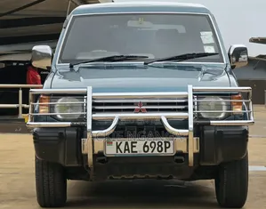 Mitsubishi Pajero 1995 Blue