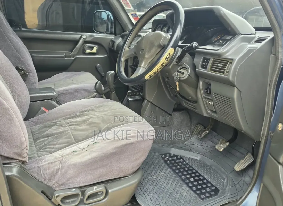 Mitsubishi Pajero 1995 Blue