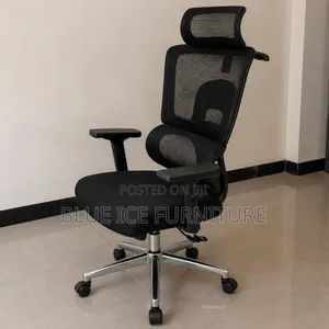 Ergonomic Executive Office Chair With Headrest Adjustable Armrests