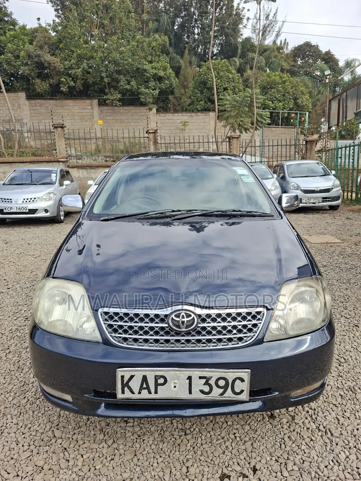 Toyota Corolla 2002 Blue