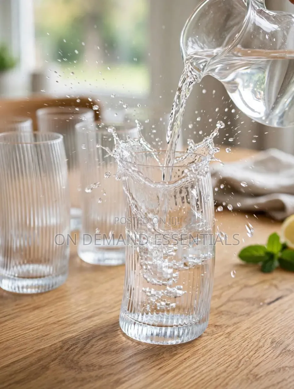 Ribbed Penguine Glass Set 
6pc