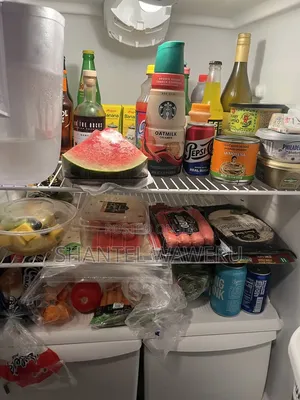 Fridge Repair