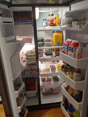 Fridge Repair