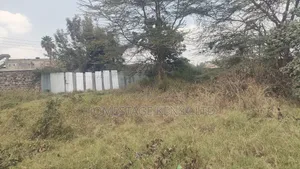 Commercial Prime Plot Kimathi Estate