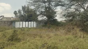 Commercial Prime Plot Kimathi Estate