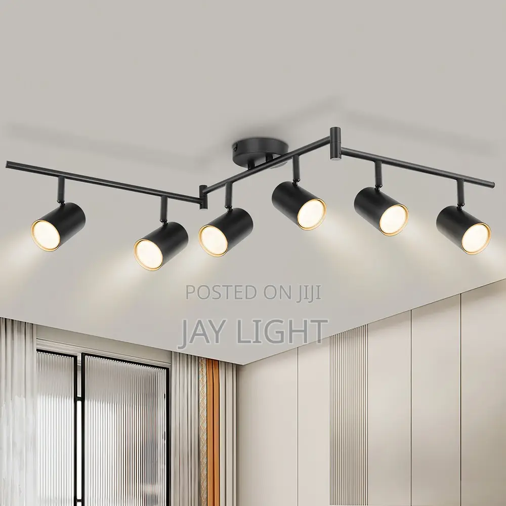 Adjustable Modern Design Ceiling Spot Light Black