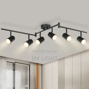 Adjustable Modern Design Ceiling Spot Light Black