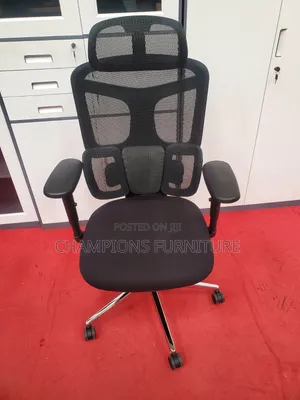 Nexus Posture Orthopedic Office Chair
