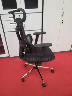 Nexus Posture Orthopedic Office Chair