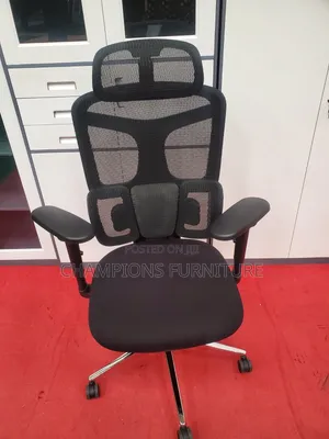 Nexus Posture Orthopedic Office Chair