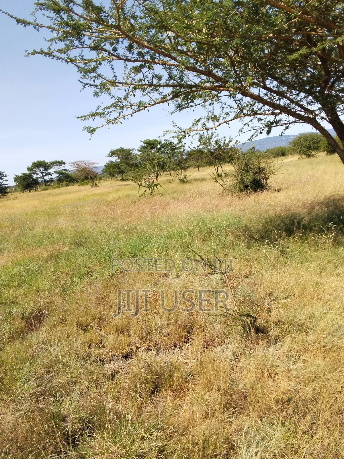 Very Prime Land on Sale: