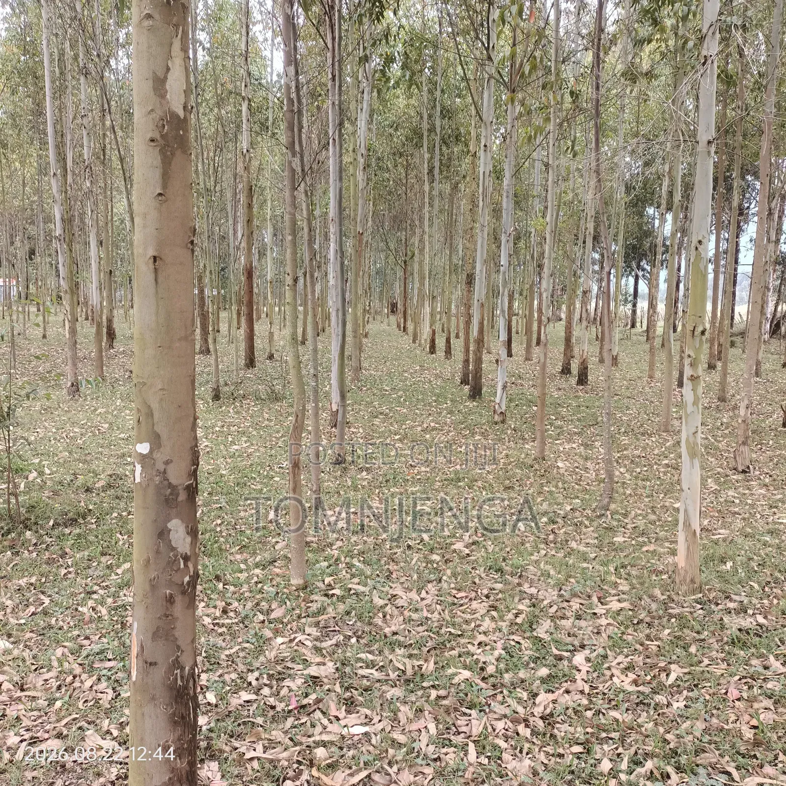 Fiber Wire Installation Post