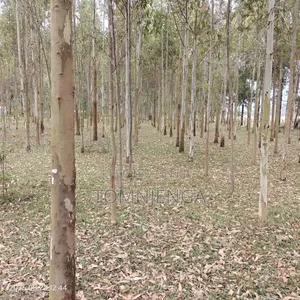 Fiber Wire Installation Post