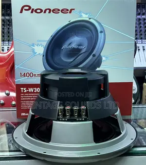 Pioneer TS-W308D4 Dual 4-Ohm 1400 Watt Car Audio Bass Subwoofer