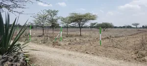 50 by 100 Prime Land in Chaka Nyeri County.