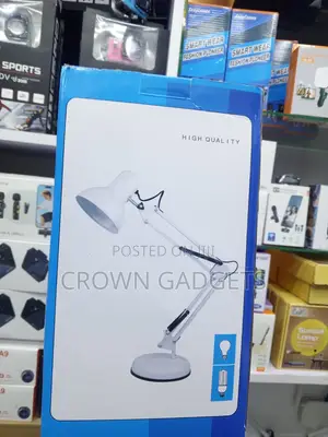 Architect Desk Lamp With Flexible Arm Dual Base Clip Mount