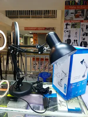 Architect Desk Lamp With Flexible Arm Dual Base Clip Mount