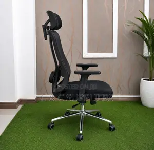 Orthopedic Executive Staff Modern Chair.