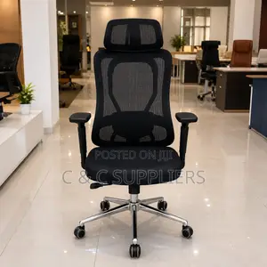 Orthopedic Executive Staff Modern Chair.