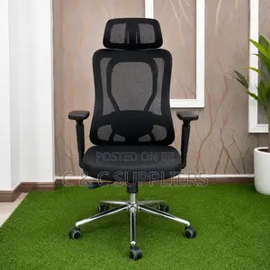 Orthopedic Executive Staff Modern Chair.