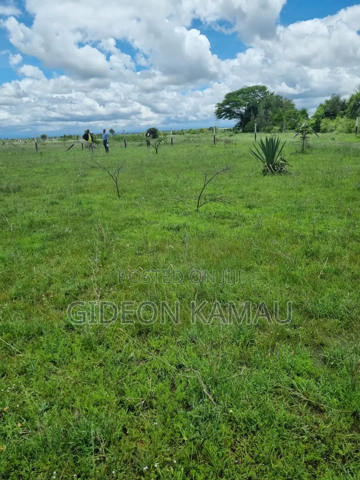 Malaa Plots for Sale