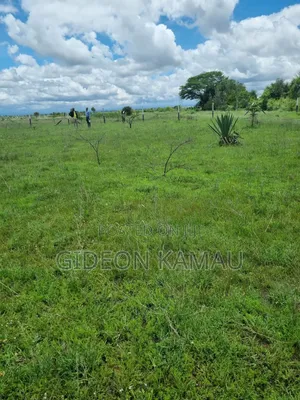 Malaa Plots for Sale