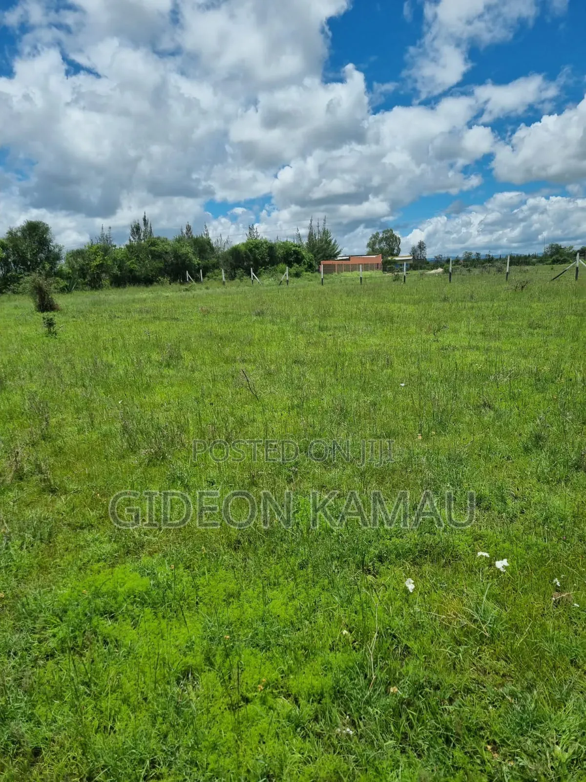 Malaa Plots for Sale