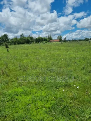 Malaa Plots for Sale