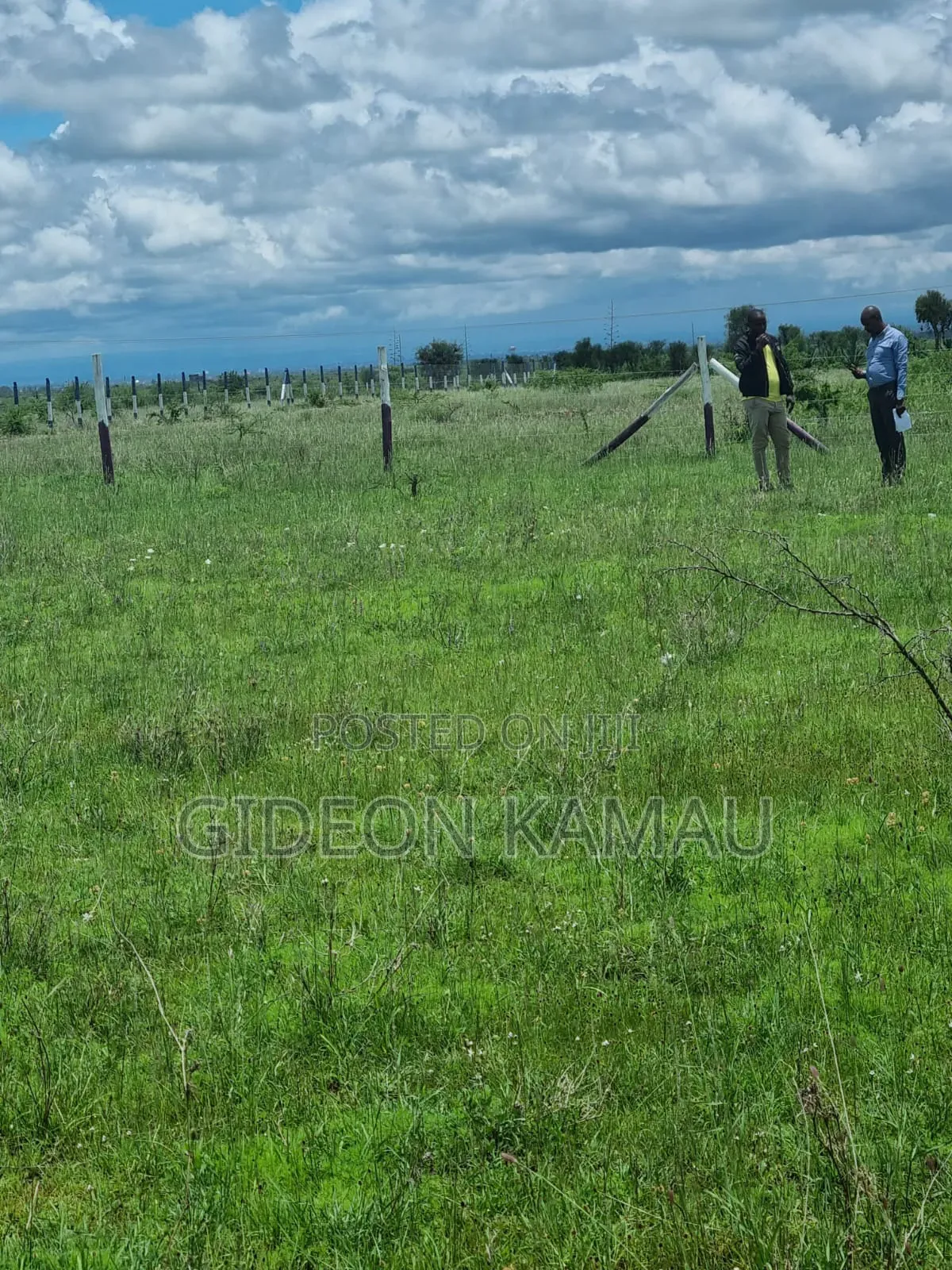 Malaa Plots for Sale