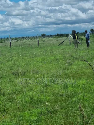 Malaa Plots for Sale