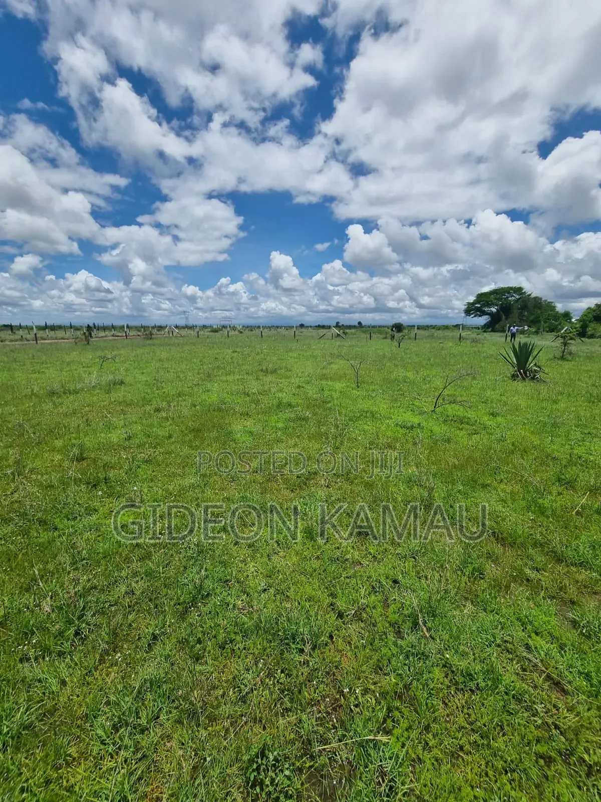Malaa Plots for Sale