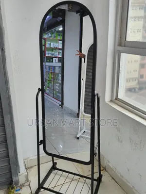 Full Length Standing Mirror With Wheels and Shoe Storage